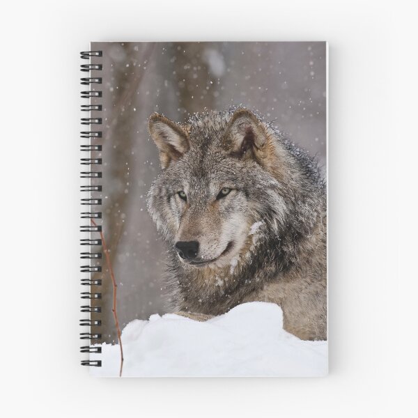 Item preview, Timberwolf in Winter designed and sold by Michael Cummings.