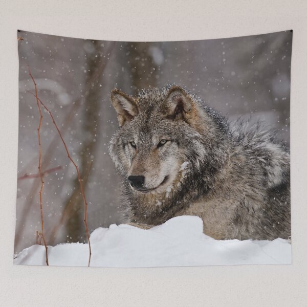 Item preview, Timberwolf in Winter designed and sold by Michael Cummings.