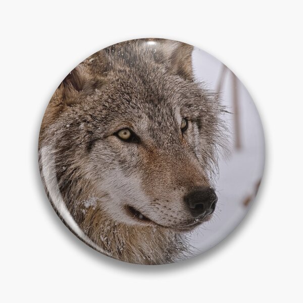 Item preview, Timber Wolf Portrait  designed and sold by Michael Cummings.