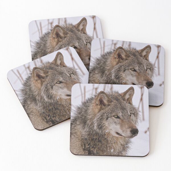 Item preview, Timber Wolf Portrait  designed and sold by Michael Cummings.