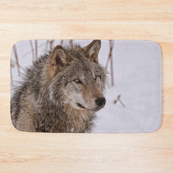 Item preview, Timber Wolf Portrait  designed and sold by Michael Cummings.