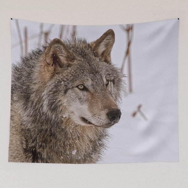 Item preview, Timber Wolf Portrait  designed and sold by Michael Cummings.