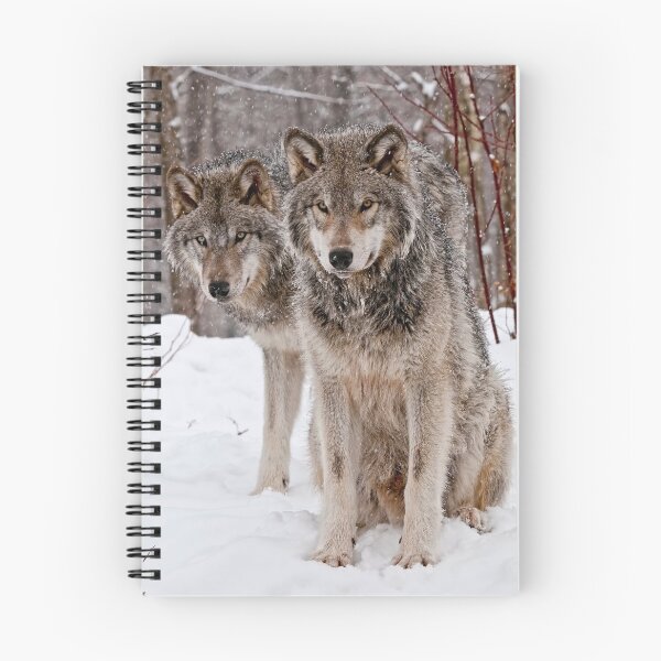 Item preview, Timber Wolf Pair designed and sold by Michael Cummings.