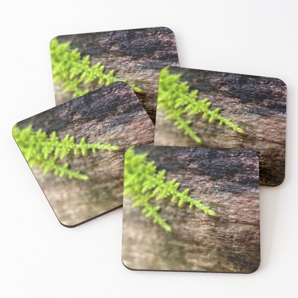 Item preview, The Tiniest Fern designed and sold by Jason Tompkins.