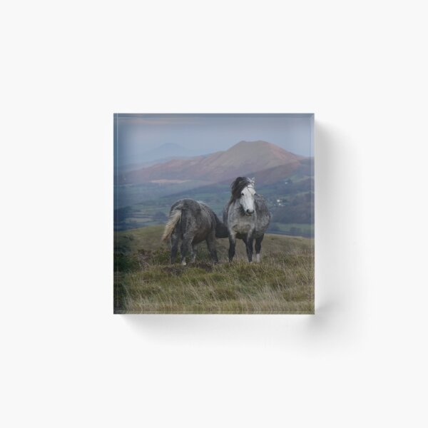 Item preview, Wild Ponies designed and sold by Mike Paget.