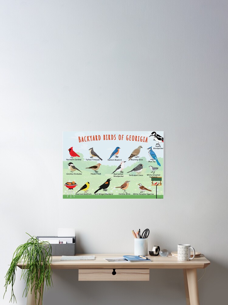 Thumbnail 2 of 3, Poster, Backyard birds of Georgia designed and sold by AndyMcBird.
