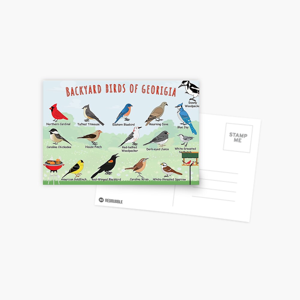 Item preview, Postcard designed and sold by AndyMcBird.
