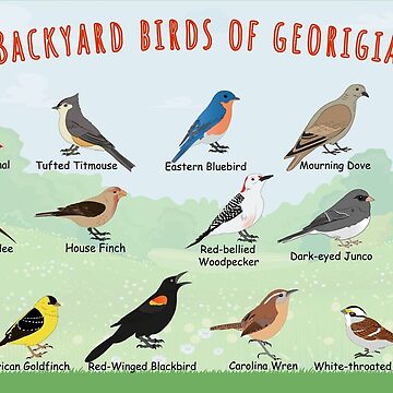 Artwork thumbnail, Backyard birds of Georgia by AndyMcBird