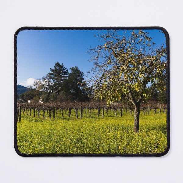 Item preview, Wild mustard plants bring color to the otherwise dormant vines of California's Napa Valley in wintertime designed and sold by OrcaNature.