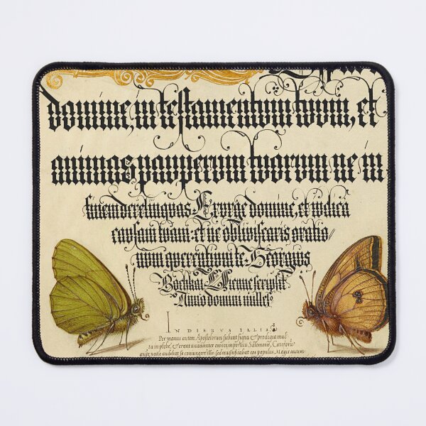 Item preview, Naturalist Manuscript: Flowers, Butterflies, and Calligraphy Illumination by Joris Hoefnagel designed and sold by Naturalist Prints.