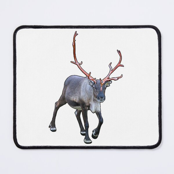 Item preview, Santa Claus Reindeer designed and sold by FotoJarmo.