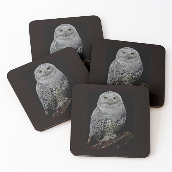 Item preview, Night owl designed and sold by Keepsdrawings.
