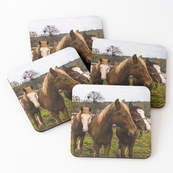 Item preview, Some of the hundreds of wild horses at the Wild Horse Sanctuary south of the little town of Shingletown, east of Redding, California designed and sold by OrcaNature.