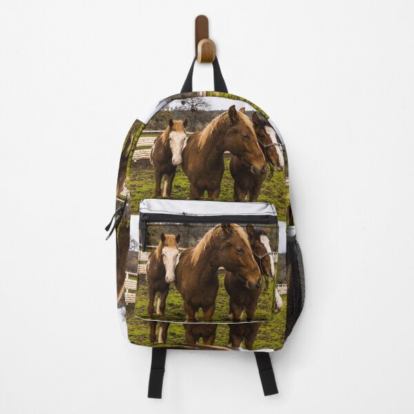 Item preview, Some of the hundreds of wild horses at the Wild Horse Sanctuary south of the little town of Shingletown, east of Redding, California designed and sold by OrcaNature.