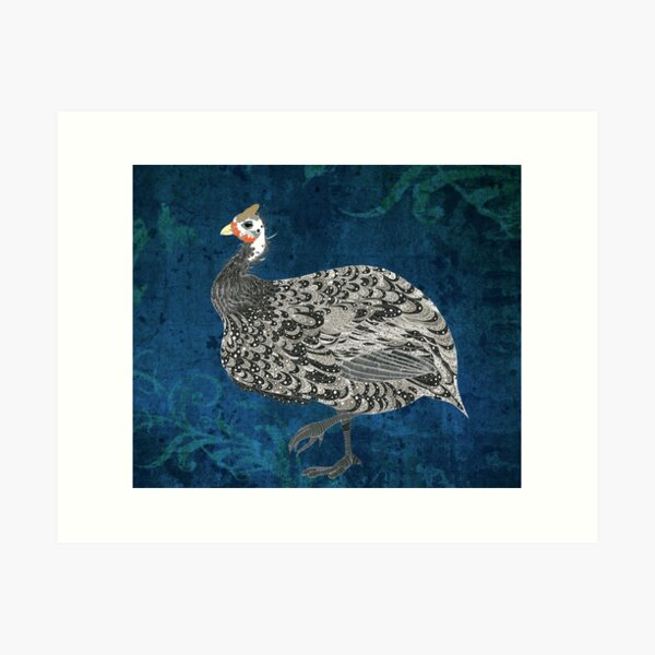 Fine Art Print - Guinea Fowl Fine Art Print - by Katie Cardew