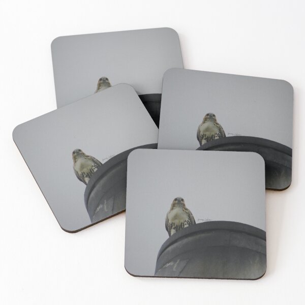 Item preview, ENCOUNTERS BY YANNIS LOBAINA .JPG designed and sold by Yannis Lobaina Art .