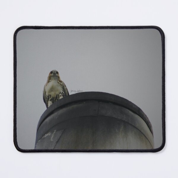 ENCOUNTERS BY YANNIS LOBAINA .JPG Mouse Pad