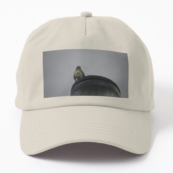 ENCOUNTERS BY YANNIS LOBAINA .JPG Dad Hat