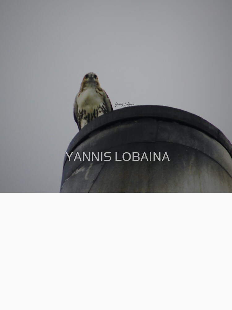 ENCOUNTERS BY YANNIS LOBAINA .JPG by lobaina1979