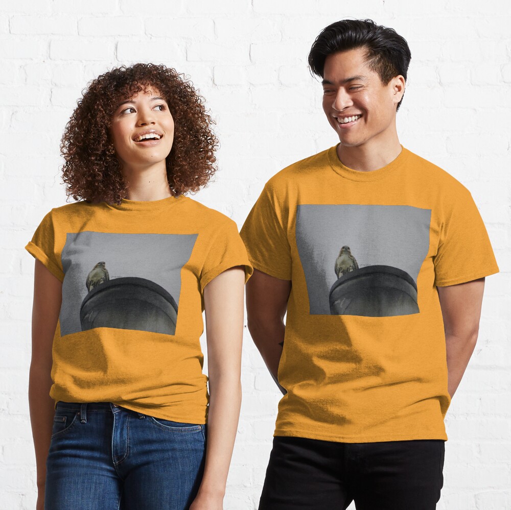 ENCOUNTERS BY YANNIS LOBAINA .JPG Classic T-Shirt
