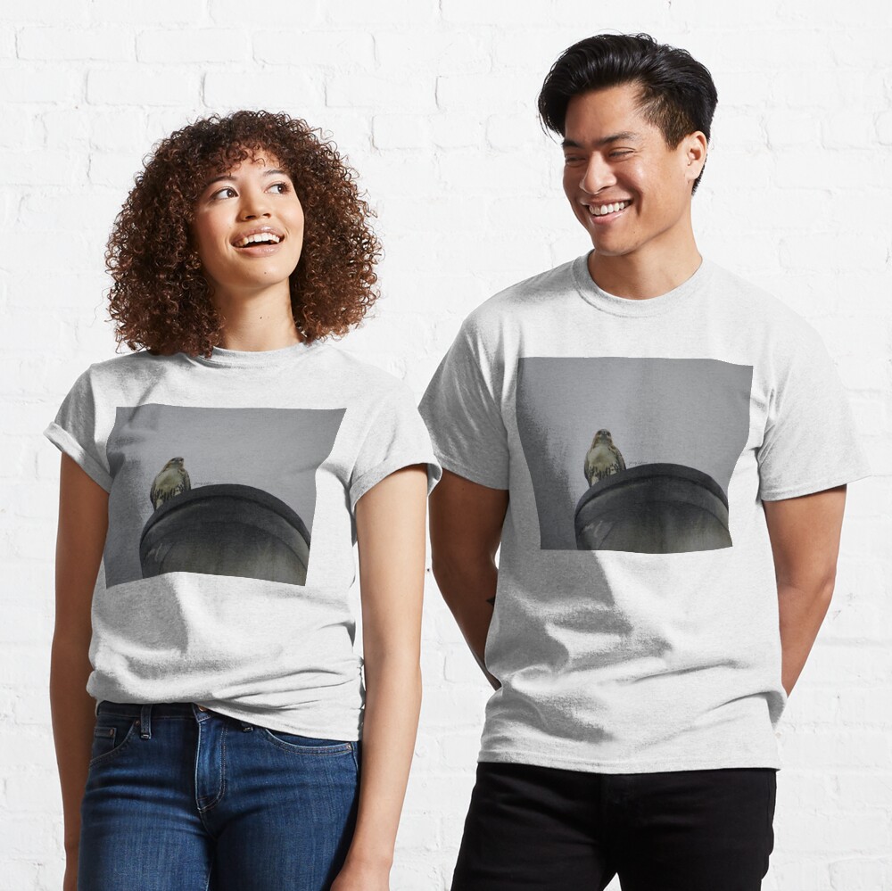ENCOUNTERS BY YANNIS LOBAINA .JPG Classic T-Shirt