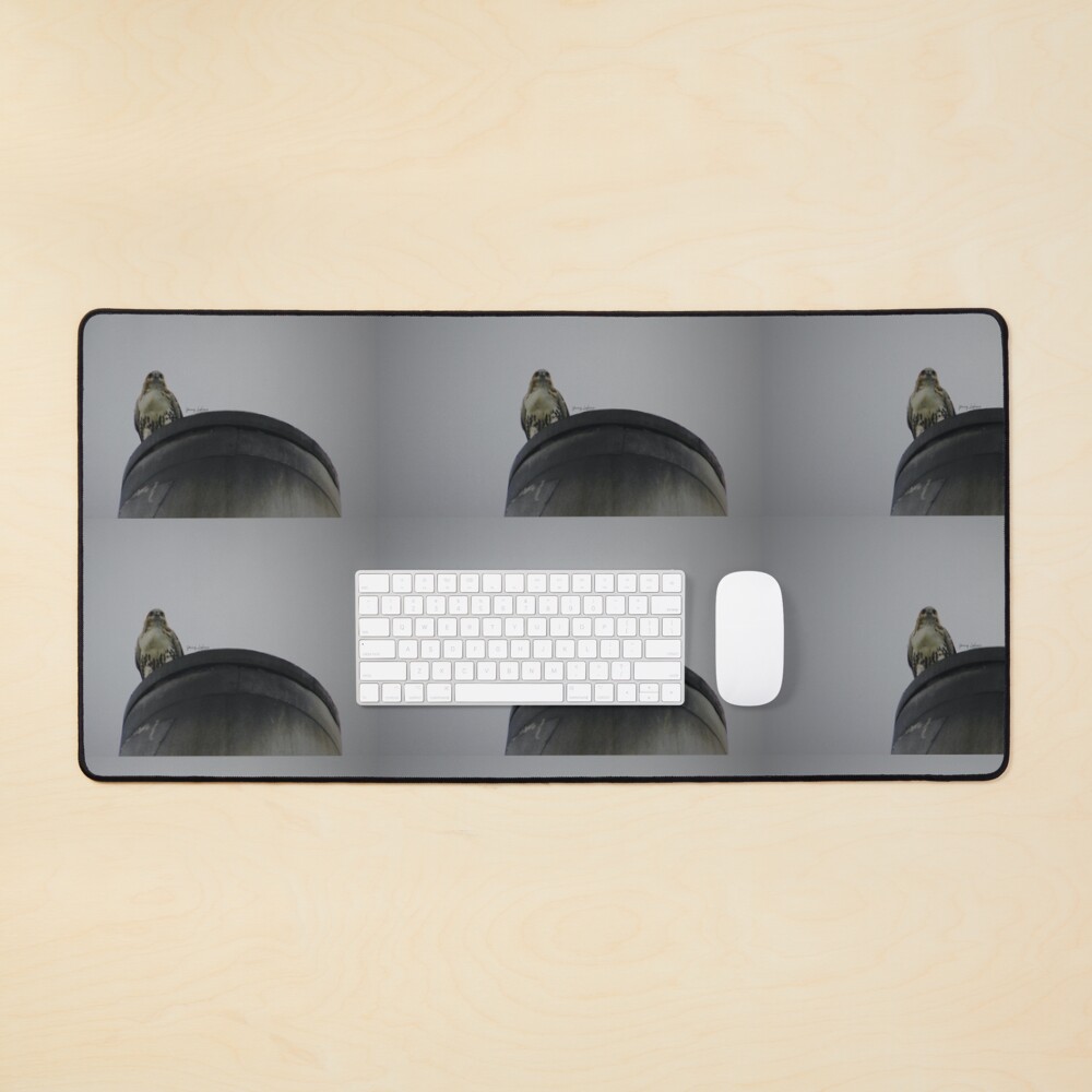 ENCOUNTERS BY YANNIS LOBAINA .JPG Mouse Pad