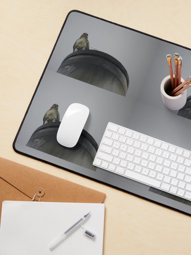 Alternate view of ENCOUNTERS BY YANNIS LOBAINA .JPG Mouse Pad