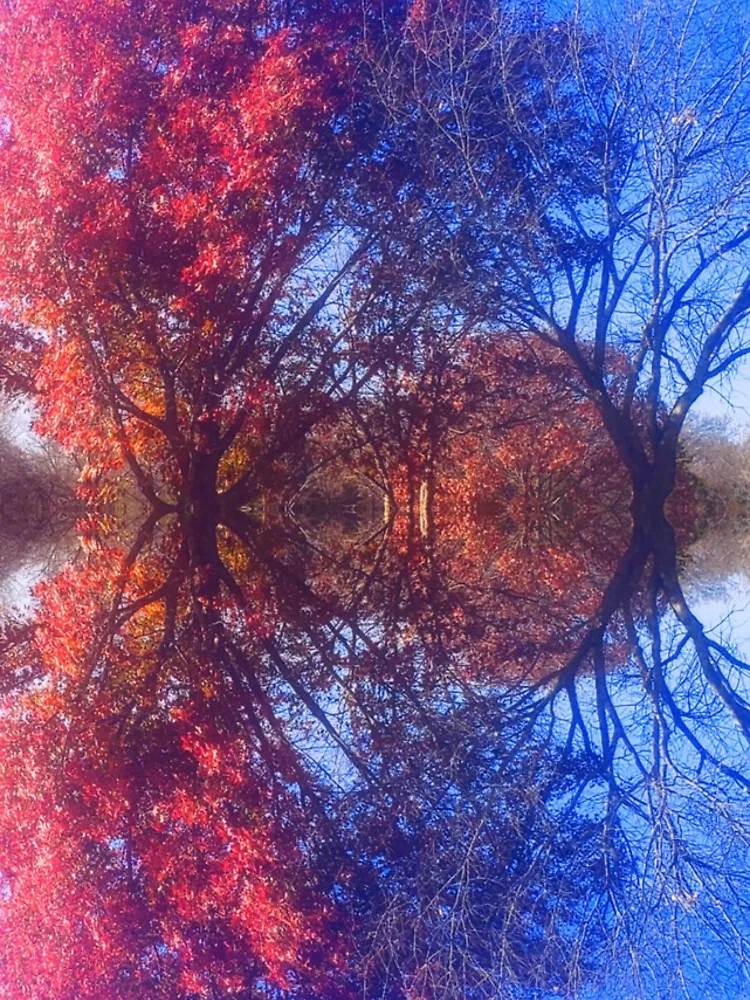 Thumbnail 5 of 5, iPhone Case, Reflection designed and sold by DevynStone.