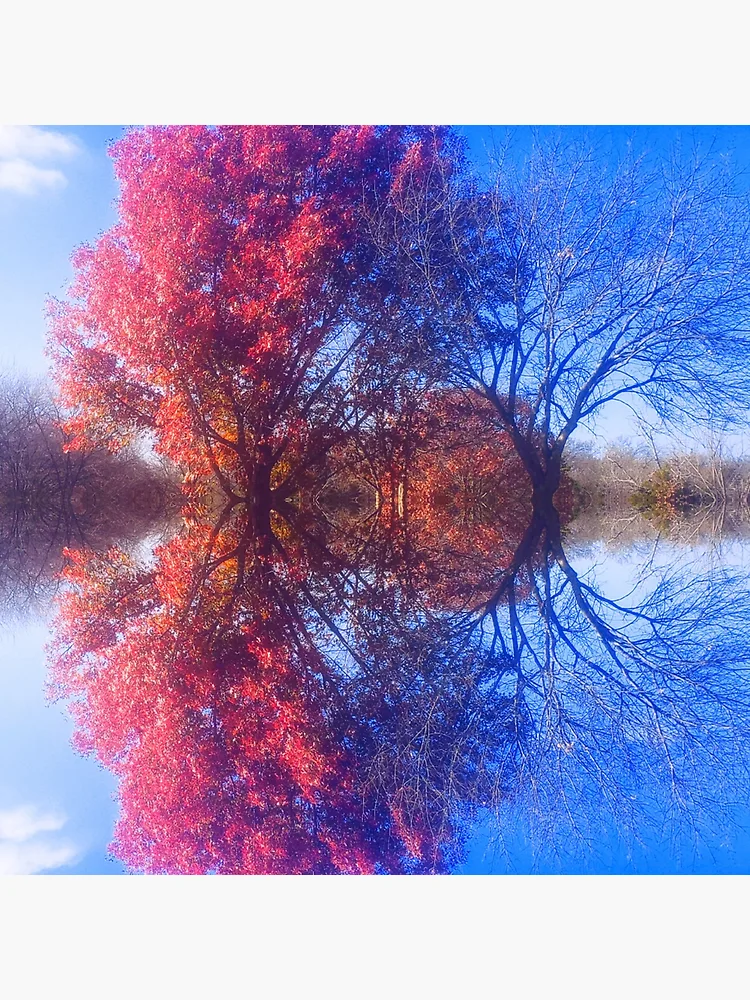 Thumbnail 3 of 3, Poster, Reflection designed and sold by DevynStone.