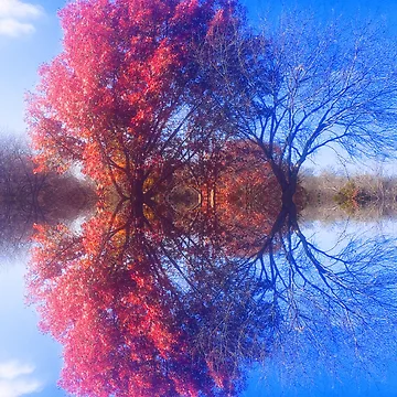 Artwork thumbnail, Reflection by DevynStone