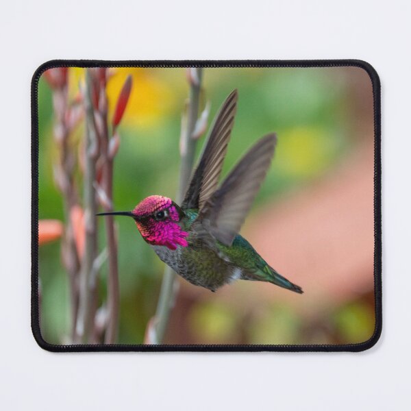 Item preview, Anna's Hummingbird designed and sold by Laurel Eby.