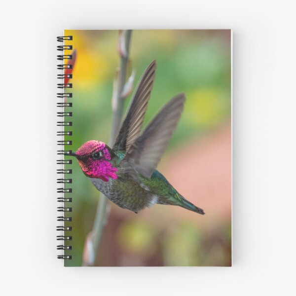 Item preview, Anna's Hummingbird designed and sold by Laurel Eby.