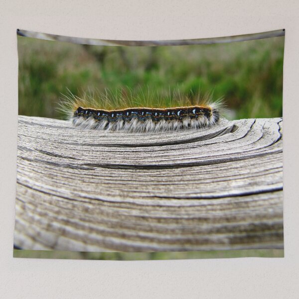 Item preview, Hair-raising Journey to Become a Moth designed and sold by Jean Gregory Evans.