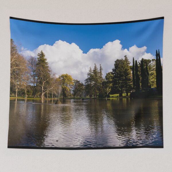 Item preview, Tranquil lake scene in Land Park, near the zoo and Fairytale Town theme park in Sacramento, California's capital city designed and sold by OrcaNature.