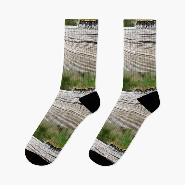 Item preview, Hair-raising Journey to Become a Moth designed and sold by Jean Gregory Evans.