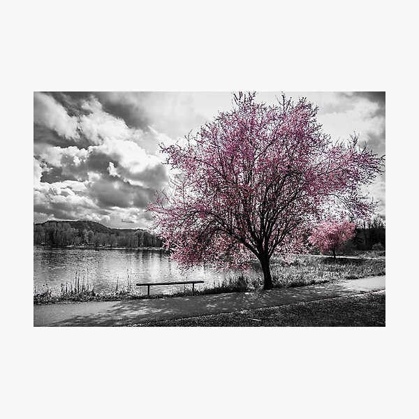 Heavenly View Photographic Print