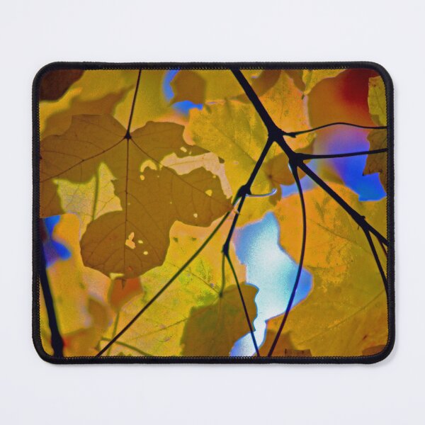 Item preview, Translucient Maple Leaves Against a Blue Sky designed and sold by Brian Shaw.