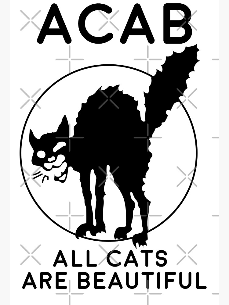 Disover All Cats Are Beautiful Premium Matte Vertical Poster
