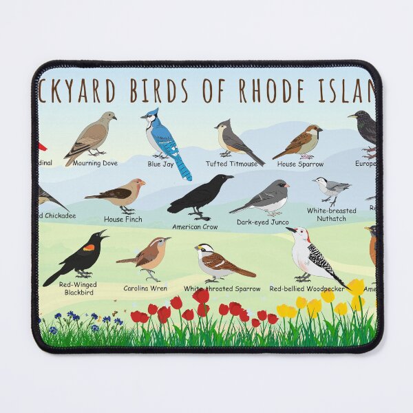 Item preview, Backyard birds of Rhode Island designed and sold by AndyMcBird.