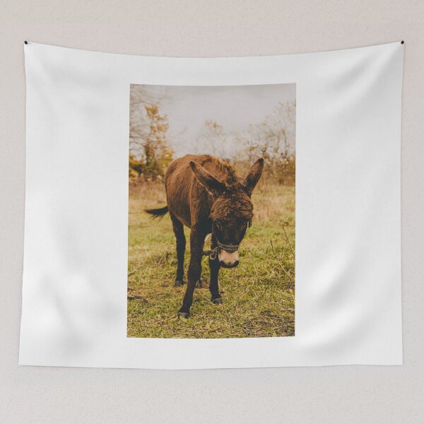 Item preview, Cute Donkey in the Field of Black Sea Coast designed and sold by ElanUlv.