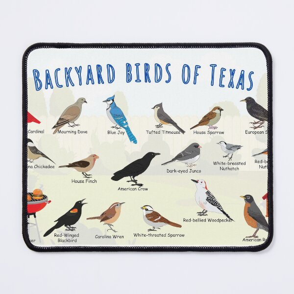 Item preview, Backyard birds of Texas designed and sold by AndyMcBird.
