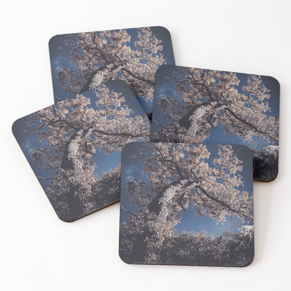 Item preview, Mysterious tree bending towards the sky designed and sold by HenrikGPhoto.