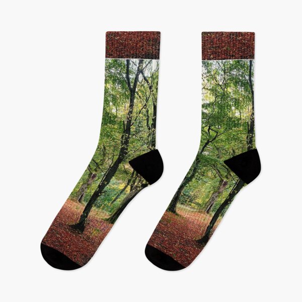 Item preview, Trees in a park designed and sold by yyolka.