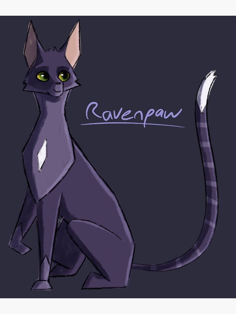 Warrior Cats Designs: Ravenpaw : r/WarriorCats