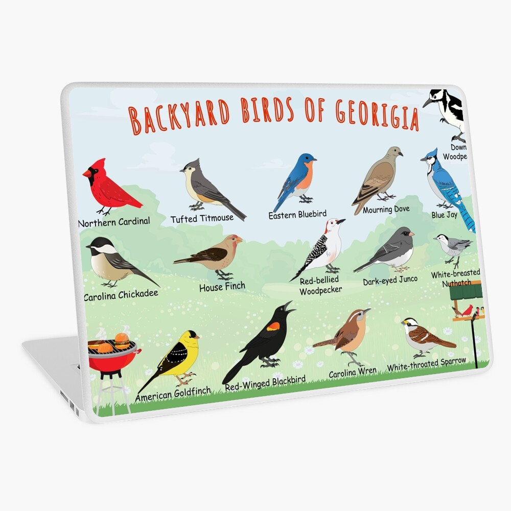 Item preview, Laptop Skin designed and sold by AndyMcBird.