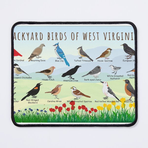 Item preview, Backyard birds of West Virginia designed and sold by AndyMcBird.