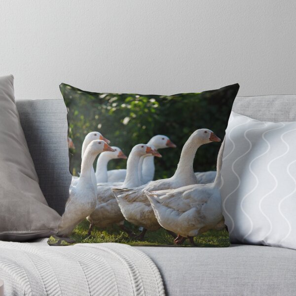 Item preview, Gaggle walking designed and sold by Lukasz Szczepanski.
