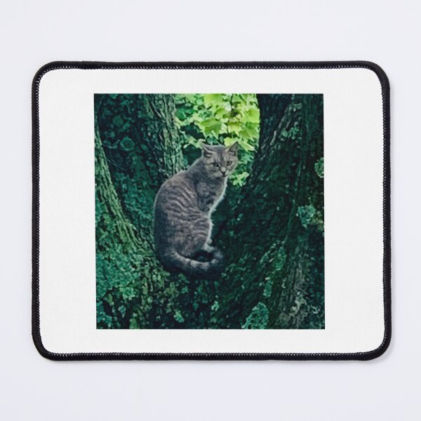 Item preview, Annie up a tree designed and sold by Janice Schiff.