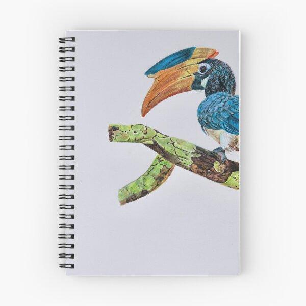 Item preview, Great Hornbill drawing designed and sold by dannypencil123.
