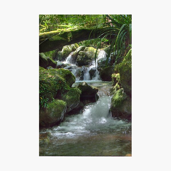 Waterfall,Lamington National Park, Queensland, Australia Photographic Print